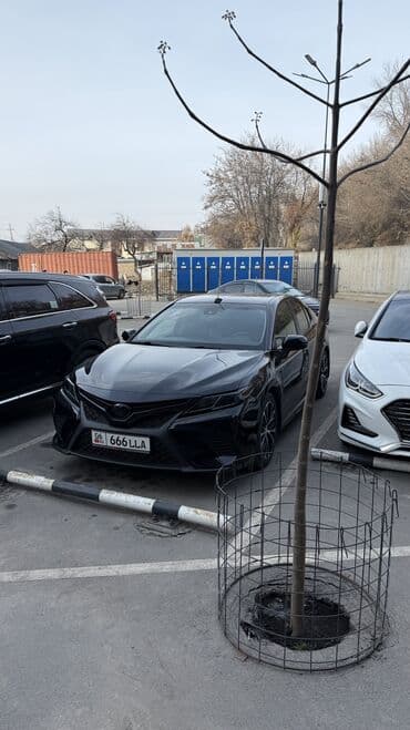 Toyota Camry: 2019 г., Автомат, Бензин, Седан