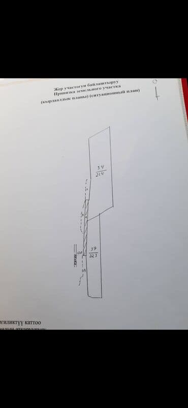 сталовый арендага берилет: Срочно продаю: Пруд-2га,зарыбленный( Сазан, толстолобик,белый амур) — 2