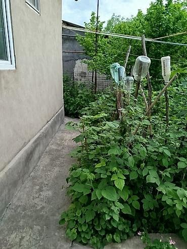 Дом с двором и благоустроенными постройками. - Уютный санузел