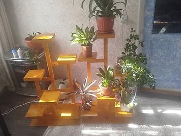 дерево мебель: Полка, этажерка для цветов, Дерево — 2