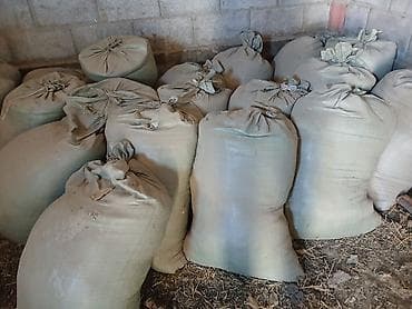 куринный помет: Полипропиленовый Мешок — 1