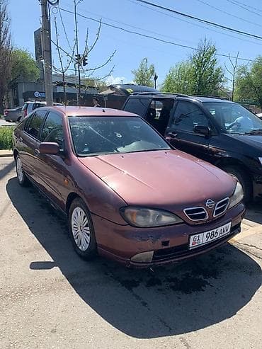 ка 3: Nissan Primera: 2001 г., Седан — 4