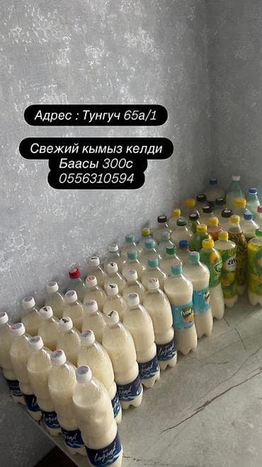 Продукты питания: Свежий кымыз (напиток из кобыльего молока), разлитый в пластиковые — 1