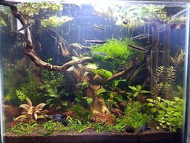 сетка 3д: Изготовление аквариумов, флорариумов, палюдариумов, проточных фильтров — 8