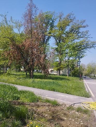 продажа аквариума: Садовый центр/питомник растений и товаров для сада - Широкий выбор — 8