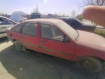 1981: Opel : 1991 г. — 2