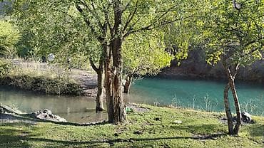 продаю с: Дом, 4 м², 5 комнат — 1