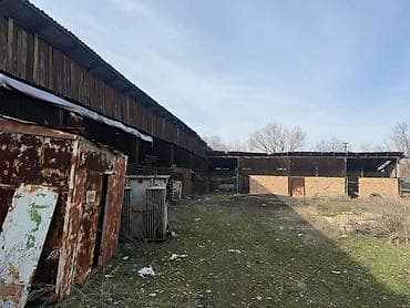 сдаю учкун: 51 соток, Для бизнеса, Красная книга, Тех паспорт — 3