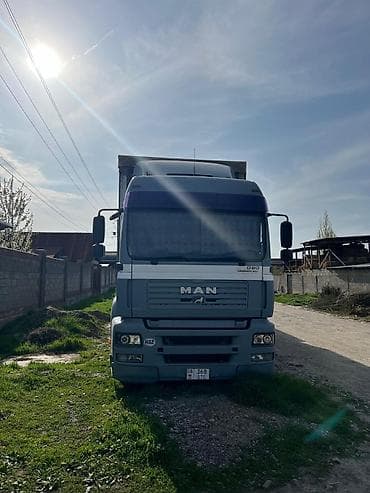 Тягач, MAN, 2005 г., Шторный