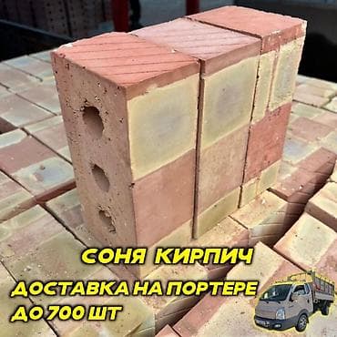 Тешиктүү, Бышкан кирпич, Жарым блок, 250×120×90