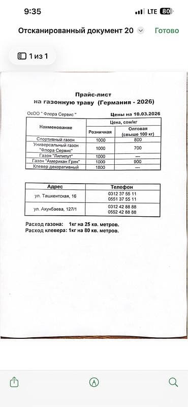тесто катаифи бишкек цена: Газонная трава (семена) — Германия, 2026 Ассортимент (цены указаны на — 1