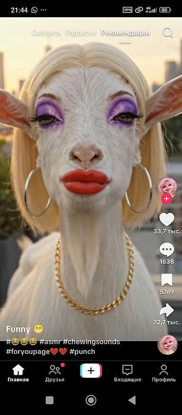 мал жем: Продаю | Коза (самка) | Для разведения | Племенные — 3