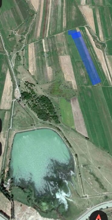 земельный участок производственного назначения: 123 соток, Для сельского хозяйства, Договор купли-продажи — 4