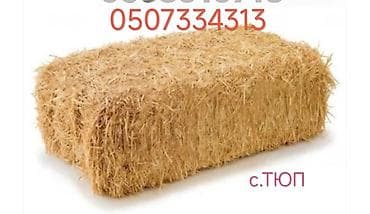 Тюки соломы ячмень 200тюков - Натуральное сухое цена