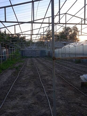копельный полив: ( теплица ). Продаю готовую теплицу. Продаётся только каркас теплицы — 4