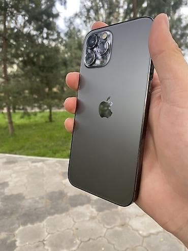 ipone 9: IPhone 12 Pro, Б/у, 256 ГБ, Графит, Чехол, Коробка, 81 % — 2
