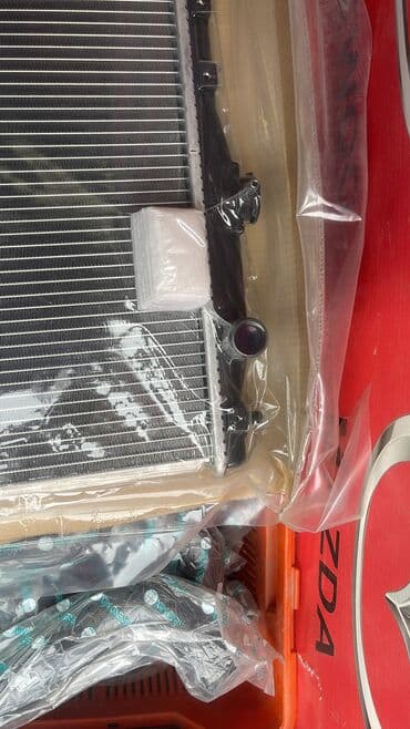 daf: Радиатор охлаждения двигателя Радиатор радиатора радиаторы Все виды — 3