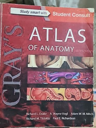Gray’s Atlas of Anatomy, Second Edition (Student Consult) - Авторы at lalafo.kg Gray’s Atlas of Anatomy, Second Edition (Student Consult) - Авторы