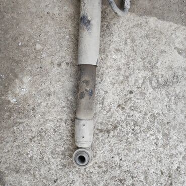 бакту долонотуу: Без выезда — 4