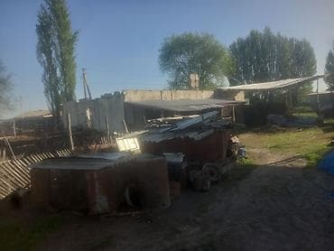 псо медина рынок кв: Продаётся дом.и семья 7.5 - Одноэтажное жилое строение за зелёным — 6