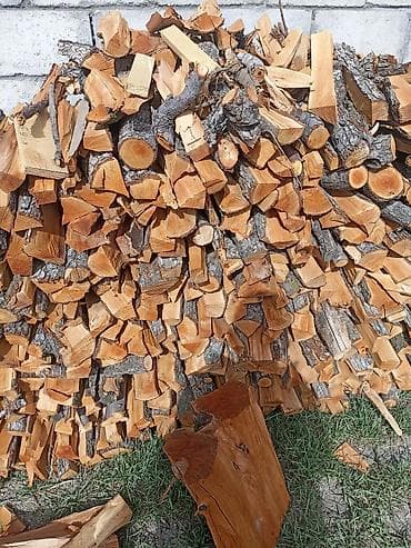 куплю дерево на дрова: Дрова Тополь, Платная доставка — 3
