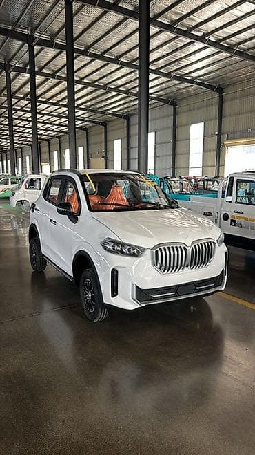 Microcar: Microcar : 2026 г., Электромобиль, Минивэн — 5