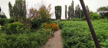 Үйдү ижарага алам: Үй, 70 кв. м, 5 бөлмө — 3