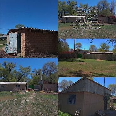 село романовка: 6 соток, Красная книга — 1