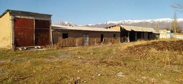 дом в красная речка: 65 соток, Бизнес үчүн, Кызыл китеп — 7