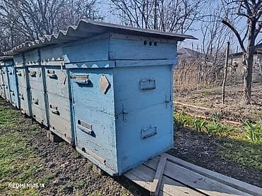 Компрессорлор: Пчелиные ульи (деревянные, многокорпусные) - Материал: дерево — 3