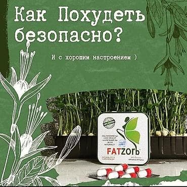 fatzorb: Фатзорб 36 капсул в железной упаковке ОРИГИНАЛ Производство Франция — 4