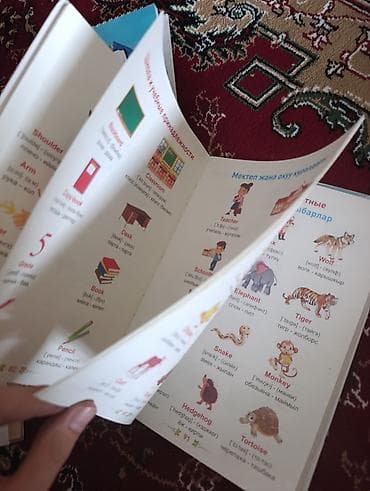 Языковые курсы: Для изучения English на двух языках . Кыргызча Руском — 2