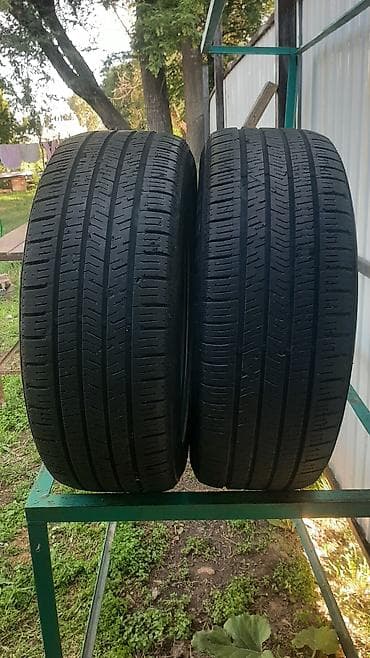 портер шины: Шины 235 / 55 / R 19, Лето, Б/у, Пара, Легковые, Корея, Nexen — 1