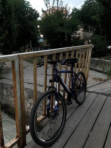 format diski: Горный велосипед, Stels, Алюминий — 1