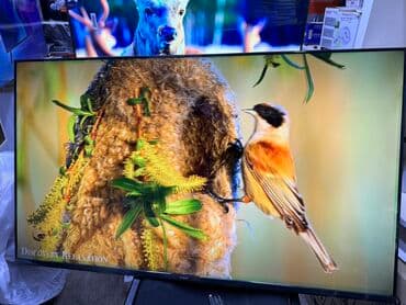 домашний антенна для телевизора: Телик Телевизор yasin qled 50q90 130 см 50" 4k hd (смарт тв) гарантия — 20