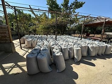 Жугору сатылат срочно
Кукуруза оптом at lalafo.kg — 1 Жугору сатылат срочно
Кукуруза оптом — 1