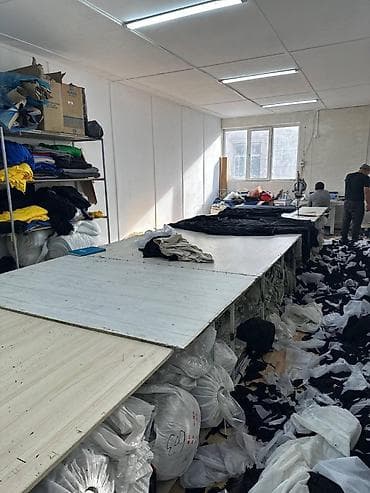 маймах: В наличии — 1