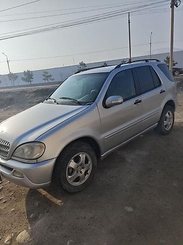Mercedes-Benz M-Class: 2003 г., 2.7 л, Автомат, Дизель, Кроссовер