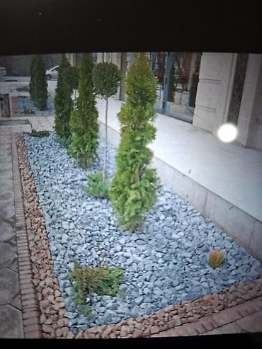 косим траву бишкек: Аймактарды жыйнап тазалоо, Газон чабуу — 2