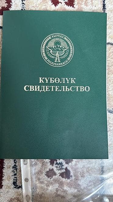 80 соток, Бизнес үчүн, Сатып алуу-сатуу келишими