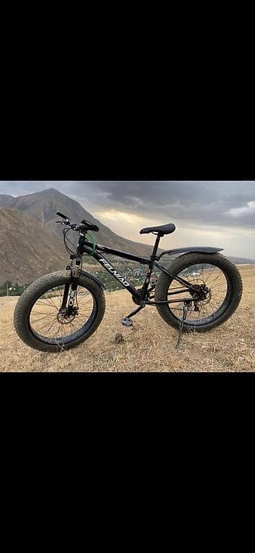 CD, DVD диски: Горный велосипед, Сталь — 2