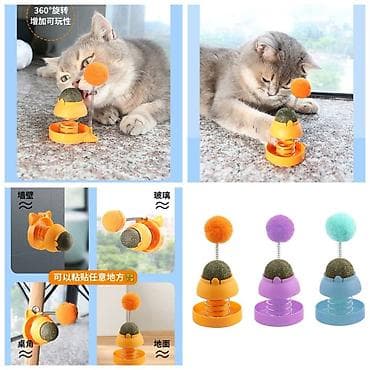 Зоотовары: ПРОДАЮ НОВЫЕ МЯГКИЕ И КОМФОРТНЫЕ КОФТАЧКИ НА КОШЕК И СОБАК(цена — 10