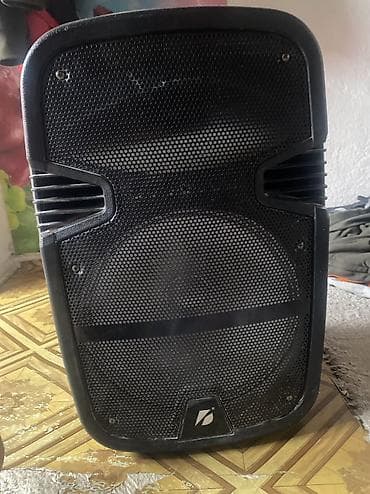 pioner dj: Портативная акустическая система KTS-1198 (12") - Мощный — 2