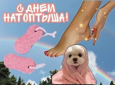 квартира комнатная: 5 и более комнат, 500 м² — 3