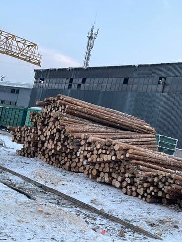 толстолоб оптом: Лес Кругляк Сосна Карачай продаю оптом и в розницу дешево доставка в — 3