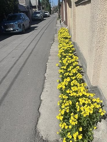 Самовывоз