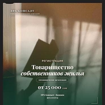 consul: Регистрация Товарищества собственников жилья (ТСЖ) Профессиональное — 1