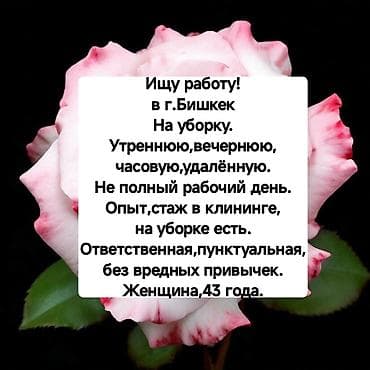 Уборщик - Женщина, С опытом, Неполный рабочий день