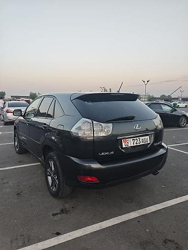 шторка rx300: Lexus RX: 2007 г., 3.3 л, Автомат, Кроссовер — 10