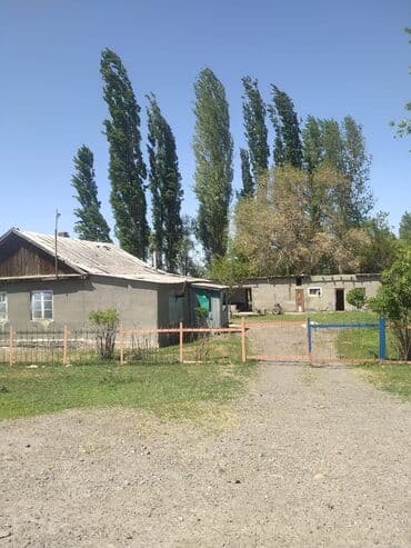 кож завод дом продаю: Сатам Мүйүздүү бодо мал фермасы, 10000 соток, Иштеп жаткан, Жарым-жартылай жабдуулары менен, Электр энергиясы — 12